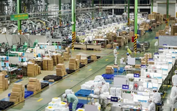 Thách thức chuyển đổi kép với doanh nghiệp | Vấn đề kinh tế | 01/04/2025
