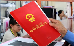 Trường hợp giao dịch nhà ở không bắt buộc có sổ đỏ