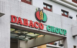 Dabaco ước lãi 500 tỷ quý I/2025