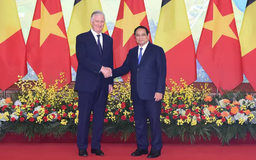 Thủ tướng Chính phủ Phạm Minh Chính hội kiến Nhà vua Bỉ