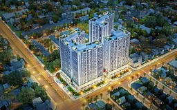 TP.HCM sẽ truy thu hơn 802 tỷ đồng tiền sử dụng đất