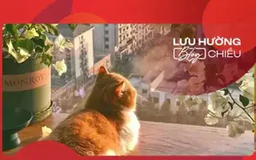 Bừng sáng tháng Tư
