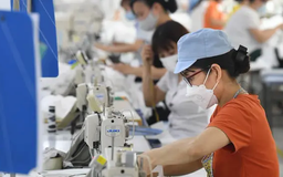Doanh nghiệp khẩn trương ứng phó với mức thuế 46% từ Mỹ
