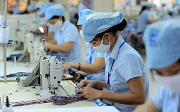 Doanh nghiệp Việt không bị động trước chính sách thuế của Mỹ