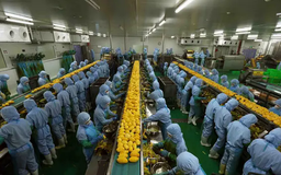 EuroCham vẫn tin tưởng vào Việt Nam trước biến động
