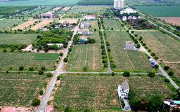 Lãng phí tài nguyên đất ở Nhơn Trạch