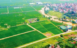 Xem xét tính giá đất dịch vụ bằng 20-40% giá đất ở
