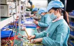 26.300 doanh nghiệp rút lui khỏi thị trường mỗi tháng