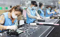 Quý I/2025 có gần 80.000 doanh nghiệp rút lui khỏi thị trường