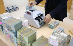 5 doanh nghiệp sắp chốt quyền chia cổ tức