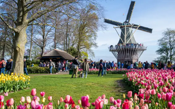 Vườn hoa Keukenhof, Hà Lan rực rỡ đón du khách