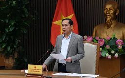 Thích ứng với điều chỉnh chính sách thương mại của Hoa Kỳ