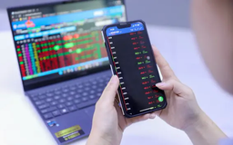Chứng khoán trong nước 'trắng bên mua'
