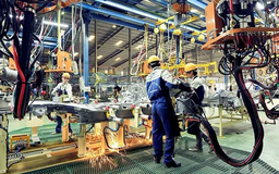 Doanh nghiệp tư nhân đóng góp vào GDP 10% hay 28%?