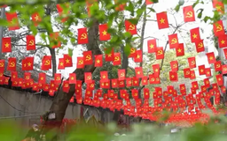 Những ngõ phố rực rỡ màu cờ Tổ quốc