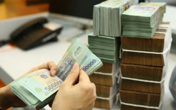 Gia hạn nộp thuế và tiền thuê đất trong năm 2025