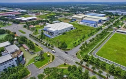 Chính phủ quyết định giảm 30% tiền thuê đất năm 2024