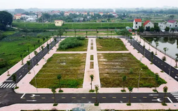 Đất đấu giá cao bất thường do đầu cơ trục lợi