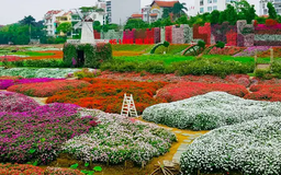 Thêm sắc màu cho phố | Vườn đô thị | 13/04/2025