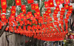 Những con đường rợp sắc cờ hoa