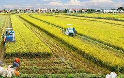 Miễn thuế sử dụng đất nông nghiệp đến năm 2030