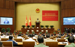 Hơn 1,5 triệu đảng viên học tập, quán triệt Nghị quyết Trung ương 11