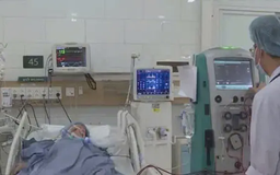 Cặp vợ chồng ngộ độc nấm nguy kịch, tiên lượng xấu