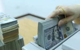 USD tăng giá, xuất khẩu mừng, nhập khẩu lo