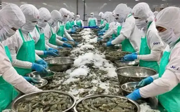 Triển khai gói tín dụng 100.000 tỷ đồng cho nông, lâm, thủy sản