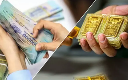 Mua vàng để an toàn hay vì sợ bị bỏ lỡ?