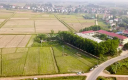 Phúc Thọ sắp đấu giá 102 nghìn m² đất nông nghiệp công ích