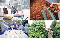 100.000 tỷ đồng sắp chảy vào lĩnh vực nông, lâm, thủy sản