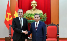 Tổng Bí thư Tô Lâm tiếp Đại sứ Pháp Olivier Brochet