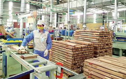 Xuất khẩu gỗ vào Mỹ có thể giảm 30% vì thuế đối ứng