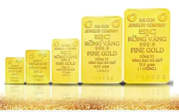 Giá vàng ngày 19/4 duy trì ở mức 120 triệu đồng/lượng