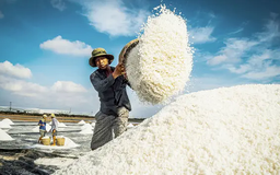 Mỗi miền một sắc | Trăm miền hội tụ | 16/04/2025
