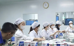 Rà soát nhân viên y tế bán các sản phẩm sữa giả