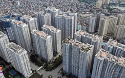 Tỷ suất cho thuê chung cư giảm mạnh