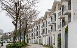 Biệt thự, liền kề bỏ hoang Hà Nội tăng giá phi lý