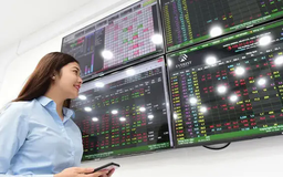 Thị trường khởi sắc, VN-Index tăng hơn 13 điểm