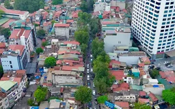 Hà Nội lên phương án di dời 357 cây xanh