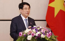 Chủ tịch nước Lương Cường gặp gỡ kiều bào tại Lào