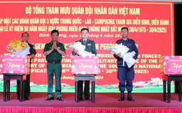Thăm, động viên các đoàn quân đội quốc tế diễu binh 30/4