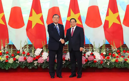 Thông cáo báo chí chung Việt Nam - Nhật Bản