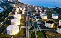 Giá dầu giảm mạnh nhất kể từ năm 2021