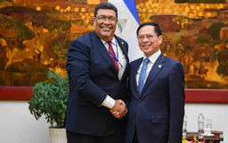 Phó Thủ tướng Bùi Thanh Sơn tiếp Bộ trưởng Ngoại giao Nicaragua