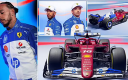 Lewis Hamilton khoe diện mạo mới