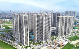 70% chung cư mới mở bán thuộc phân khúc cao cấp