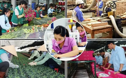 Kinh tế tư nhân TP. HCM trong kỷ nguyên vươn mình