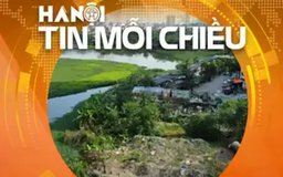 Hà Nội xử nghiêm tình trạng lợi dụng sáp nhập, lấn chiếm đất đai | Hà Nội tin mỗi chiều